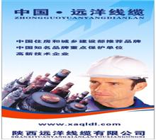 陕西远洋线缆有限公司（中国）